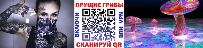 Купить закладки  Тутаев  Псилоцибиновые грибы мухоморы 